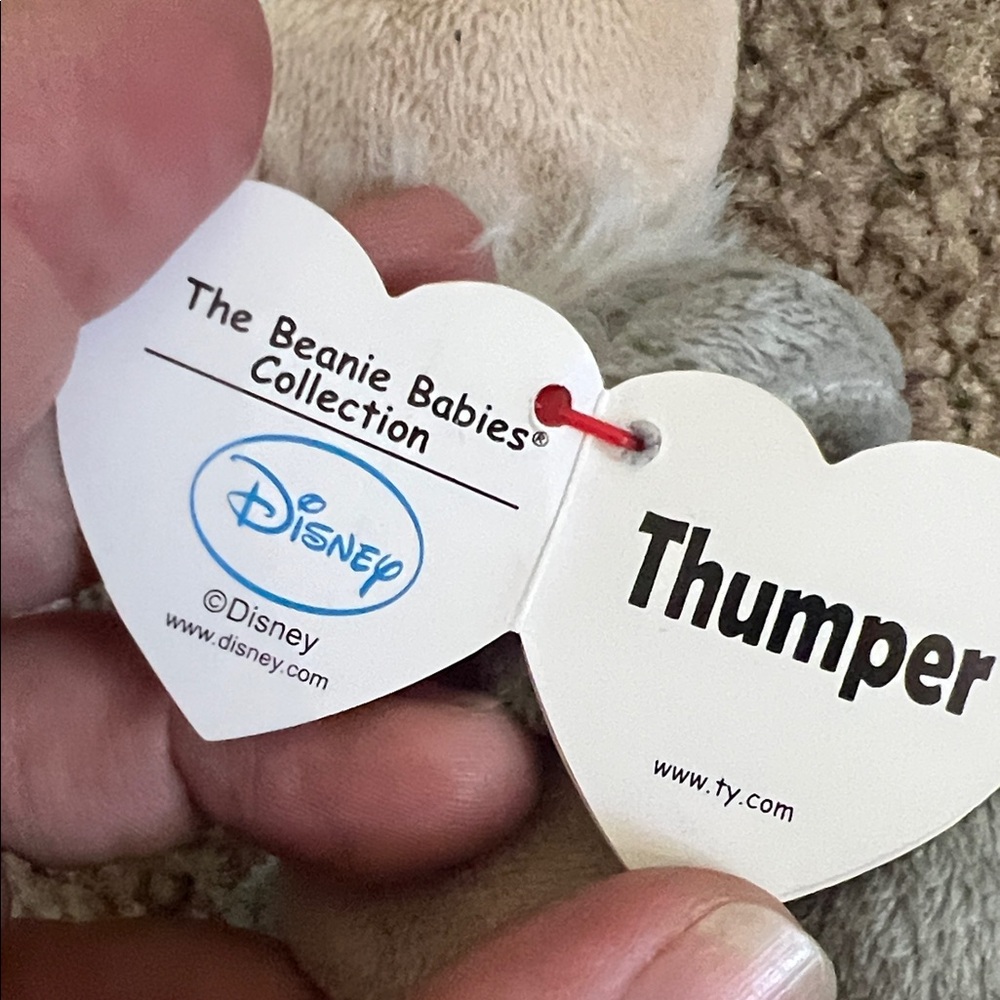 Thumper - Picture 5 of 8